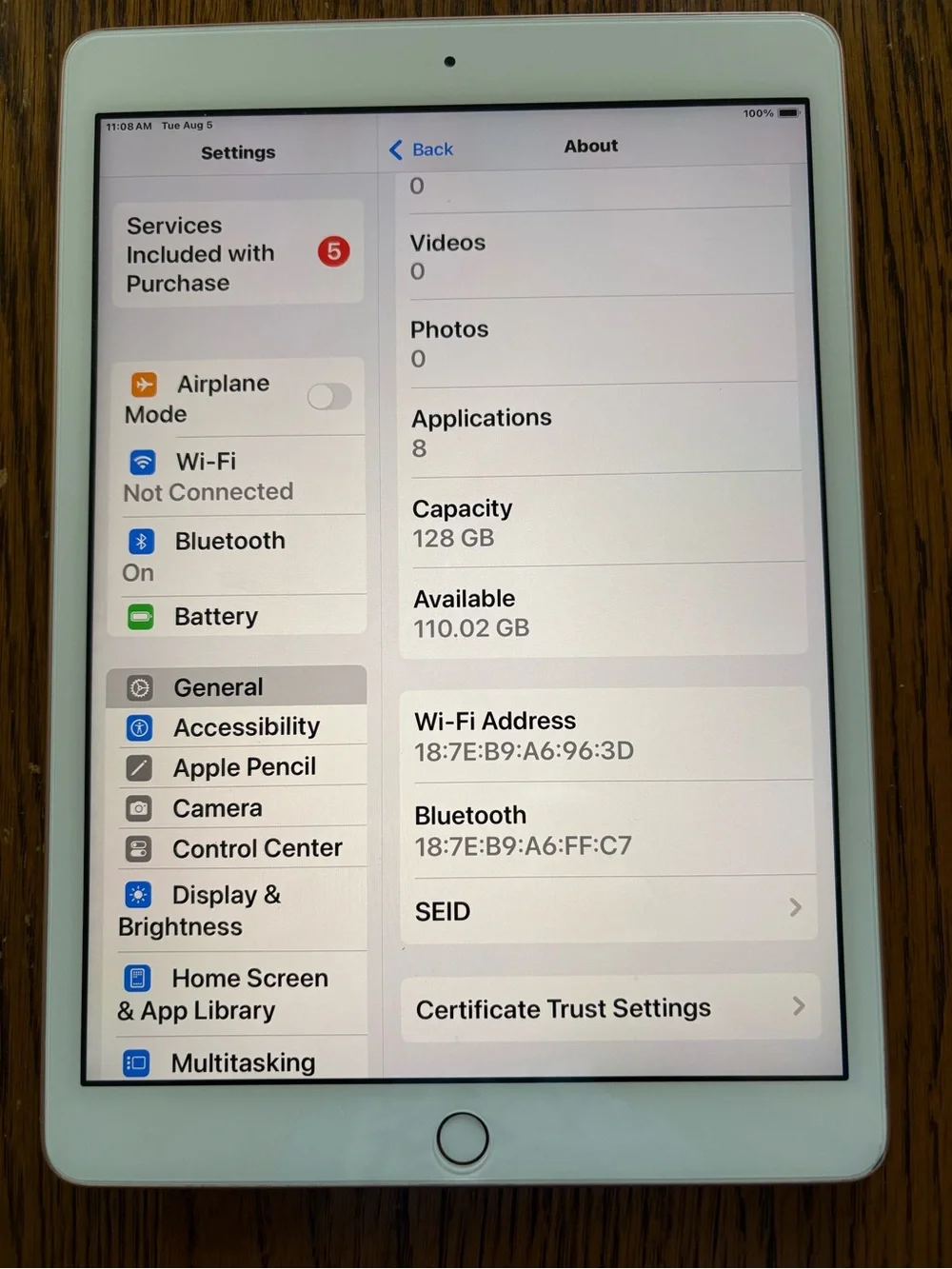 Apple this ipad